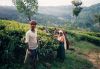 Tangalla